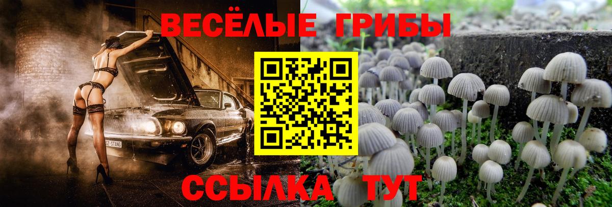 Псилоцибиновые грибы мицелий Лабытнанги